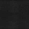 LP - Vince Staples - Dark Times