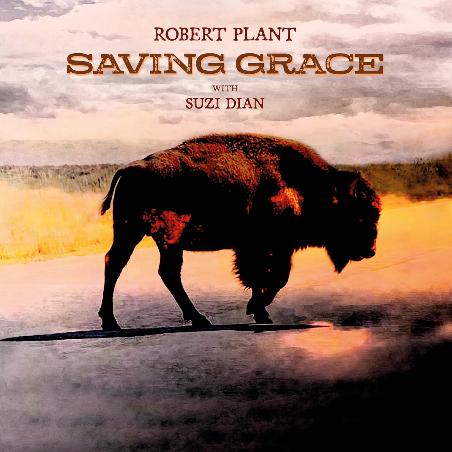 LP - Robert Plant - Saving Grace