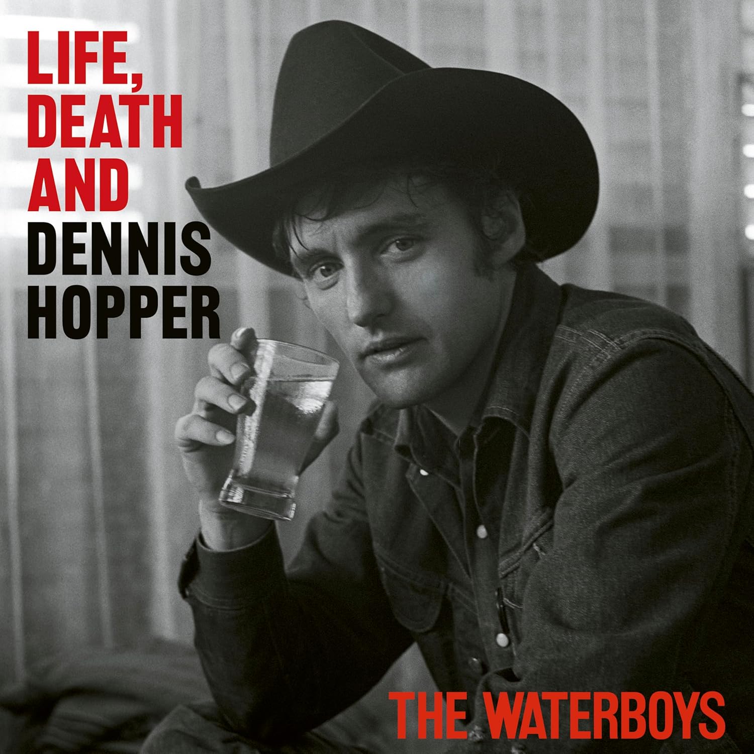 2LP - The Waterboys -  Life, Death and Dennis Hopper