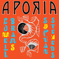 Sufjan Stevens - Aporia - LP