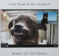 LP - Frank Turner Jon Snodgrass - Buddies Ii: Still Buddies