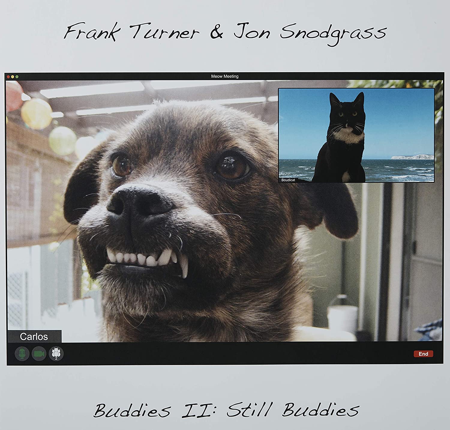LP - Frank Turner Jon Snodgrass - Buddies Ii: Still Buddies
