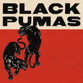2LP - Black Pumas - S/T