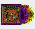 3LP - King Gizzard - Live In Miami '24
