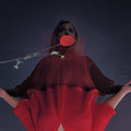 LP - Amy Millan - I Went To Find You