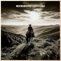 LP - Willie Nelson - Oh What A Beautiful World