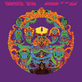 LP - The Grateful Dead - Anthem Of The Sun (50th)