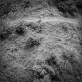 LP - Anna Tivel - Animal Poem