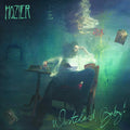 2LP - Hozier - Wasteland Baby