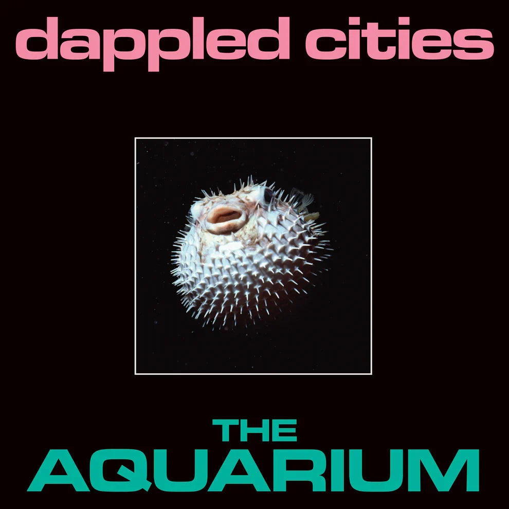 The Aquarium