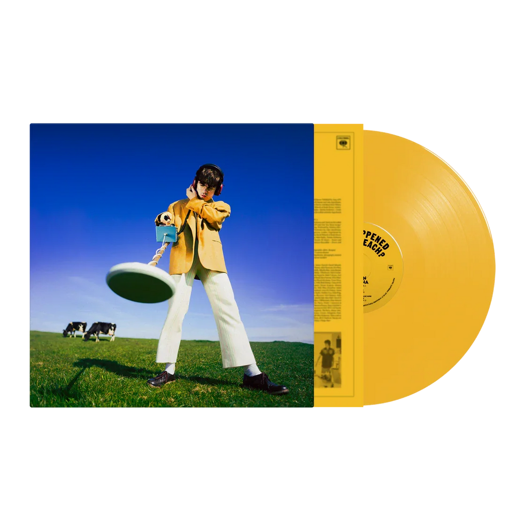 LP - Declan McKenna - What Happened To the Beach?