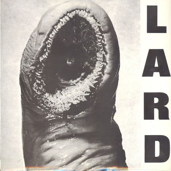 Power Of Lard