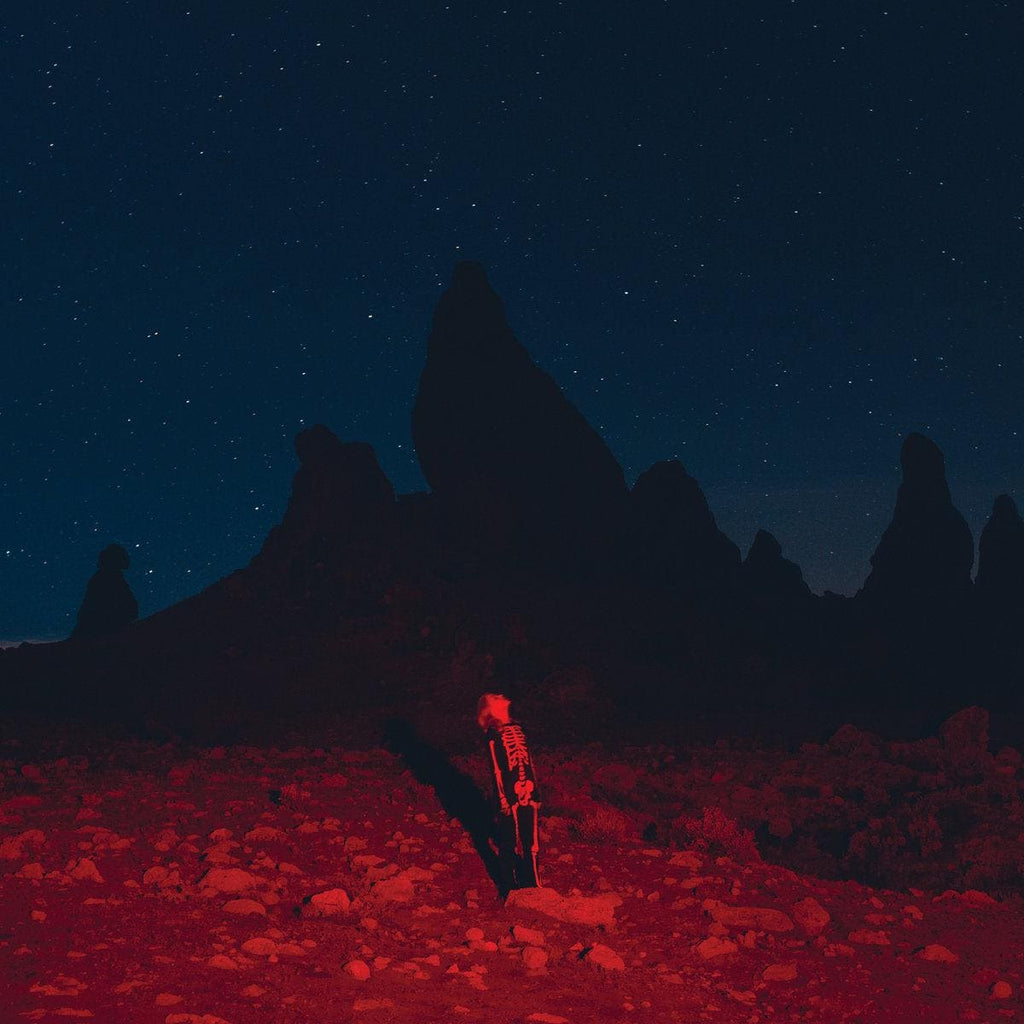 PHOEBE BRIDGERS - Punisher Vinyl