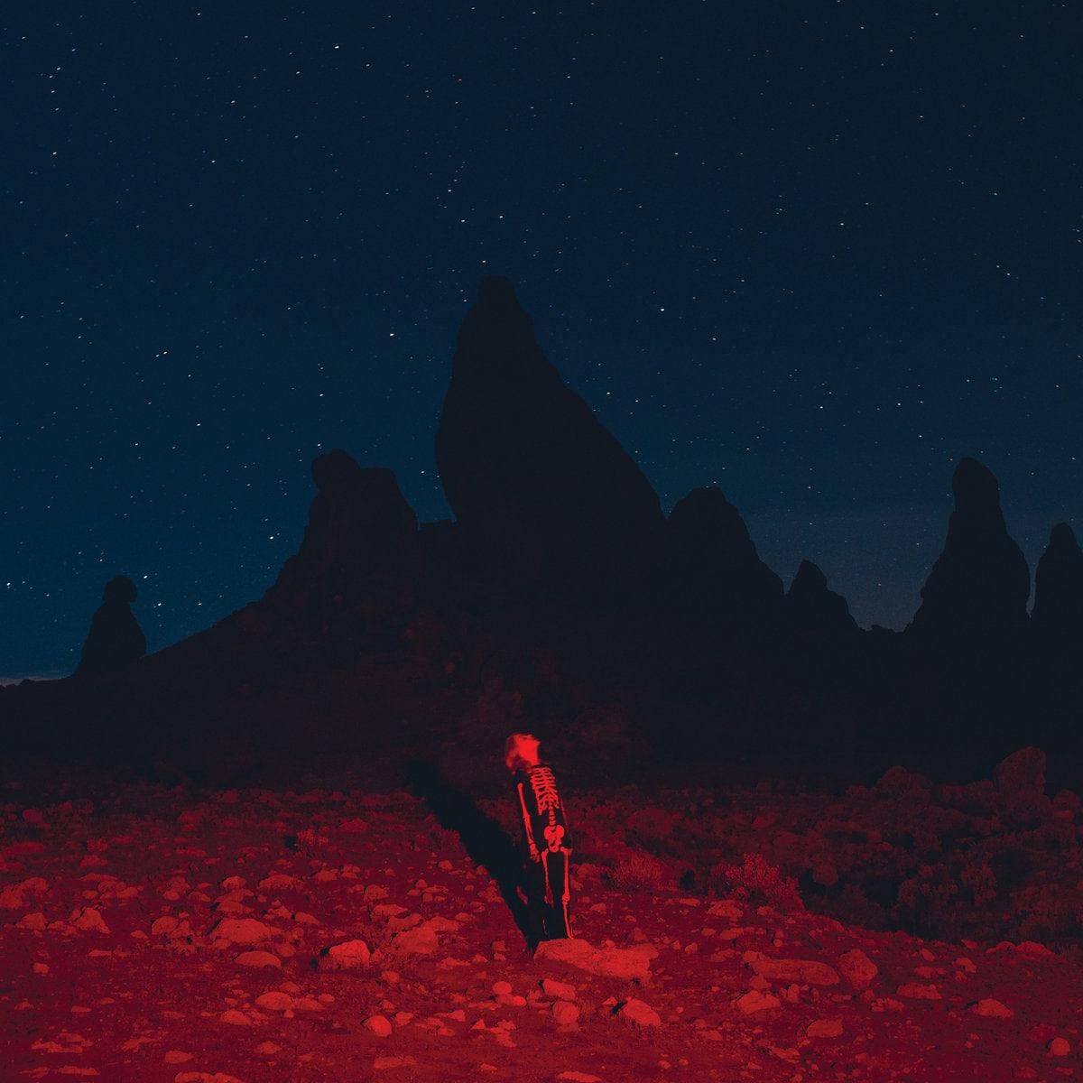 PHOEBE BRIDGERS - Punisher Vinyl