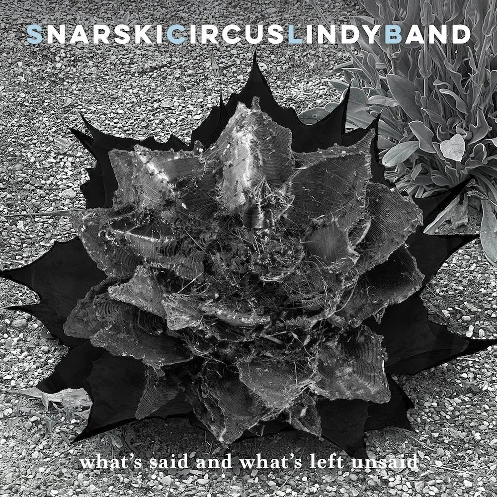 What's Said and What's Left Unsaid