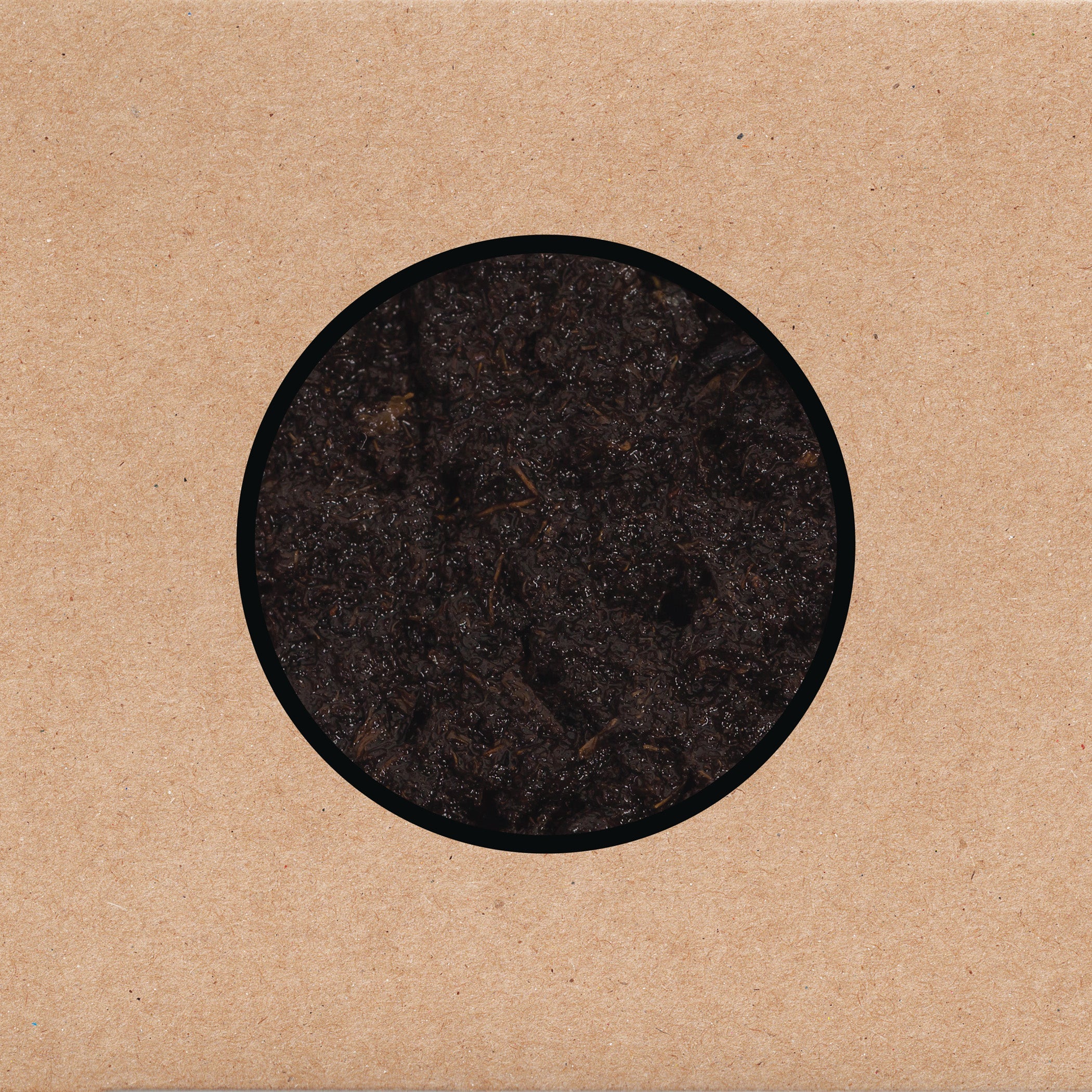 3LP - Swans - Birthing