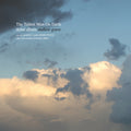 LP - The Tallest Man on Earth - Shallow Grave