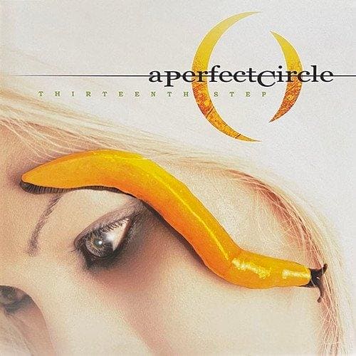 A PERFECT CIRCLE - Thirteenth Step Vinyl
