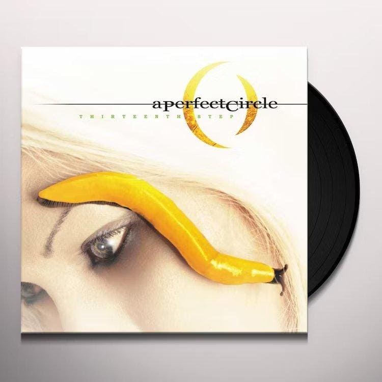 A PERFECT CIRCLE - Thirteenth Step Vinyl