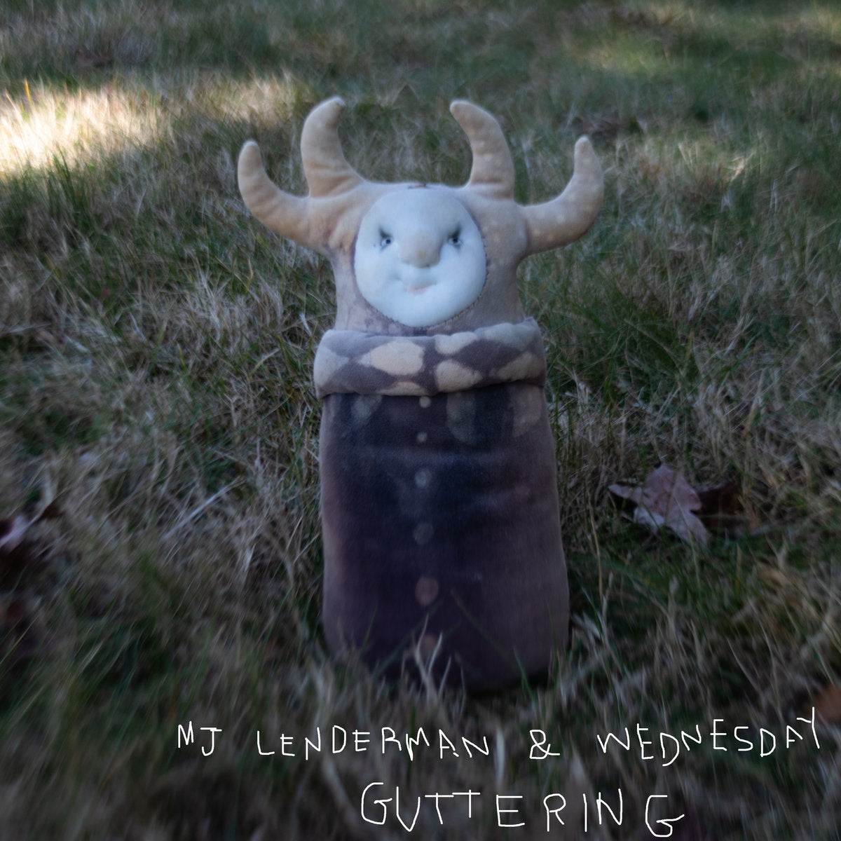 LP -  MJ Lenderman & Wednesday - Guttering