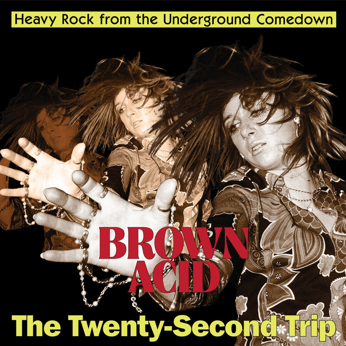 LP - Various - Brown Acid: The Twenty-Second Trip