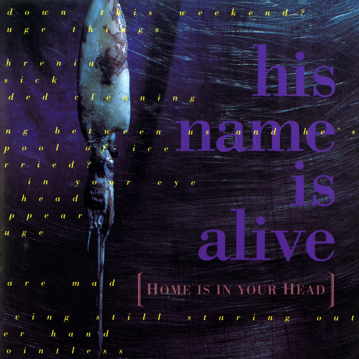 LP - His Name Is Alive - Home Is in Your Head