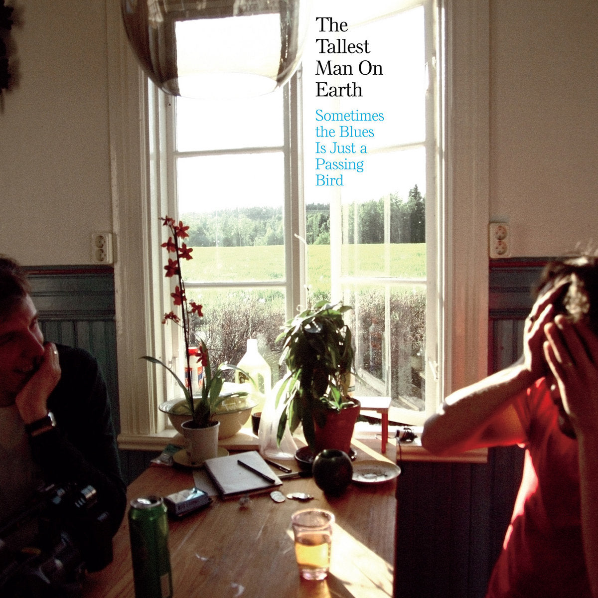 LP - The Tallest Man on Earth - Sometimes The Blues Is Just A Passing Bird EP