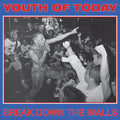 LP - Youth Of Today - Break Down The Walls