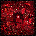 LP - Iron & Wine - Hen's Teeth