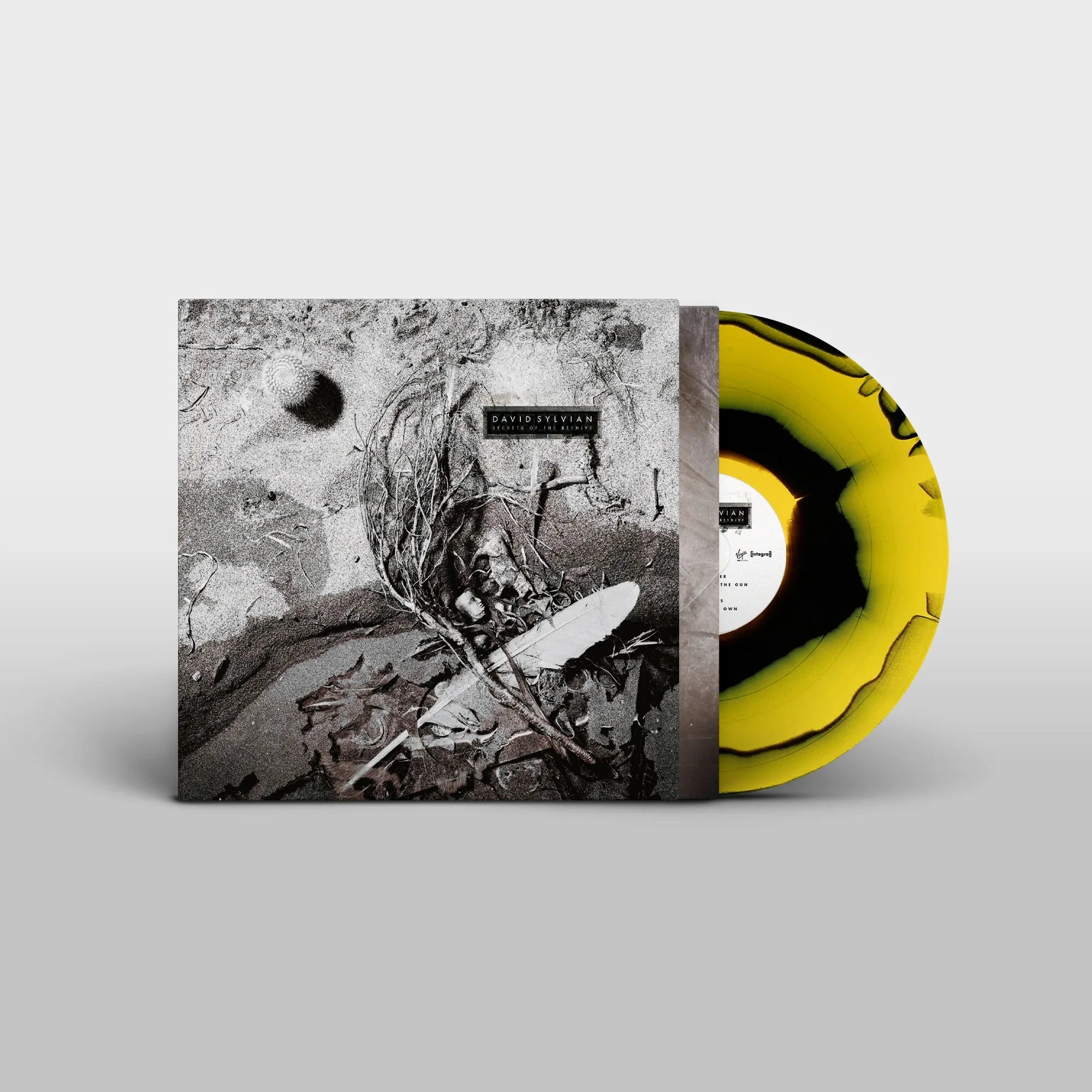 LP - David Sylvian - Secrets Of The Beehive (2025)