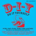 D-I-Y: DO-IT-YOURSELF Punk, Post Punk, Punk Funk & Beyond: The Rise of the Independent Music Industry
