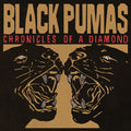 Chronicles of a Diamond