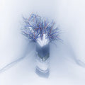 CD Ghost - (PRESALE 7/31/26) When The Rain Stops (ULTRA CLEAR VINYL) |