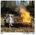 Pup - (PRESALE 8/21/26) Dream Is Over (LENTICULAR PRINT CLEAR W/ RED & ORANGE SWIRL VINYL LP SIDEONEDUMMY RDS LP-SD-16151C3 2026) | NEW Mint (M) Mint (M)