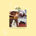 Adults (5) - (PRE-ORDER 12/12/25) The Seeds We Sow Are Sprouting Buds Nonetheless (INDIE EXCLUSIVE, GREEN VINYL) |