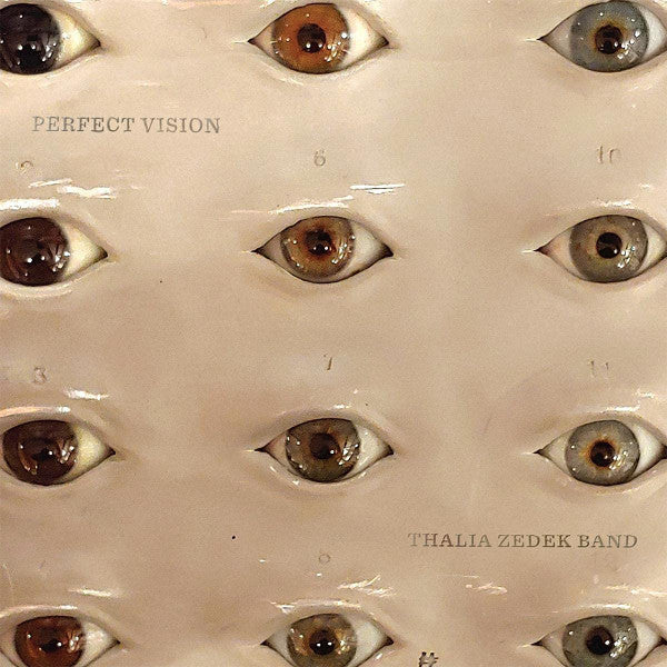 Thalia Zedek Band - Perfect Vision (VINYL LP) | NEW Mint (M) Mint (M)