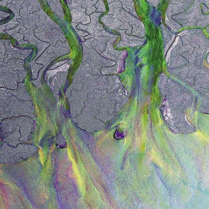 ALT J - An Awesome Wave Vinyl