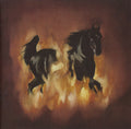 The Besnard Lakes – The Besnard Lakes Are The Dark Horse - USED CD