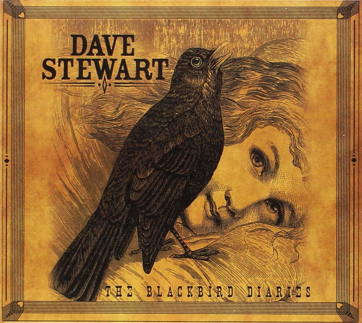 USED CD - Dave Stewart – The Blackbird Diaries