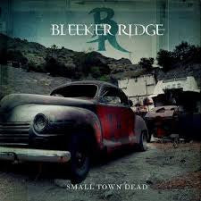 USED CD - Bleeker Ridge – Small Town Dead