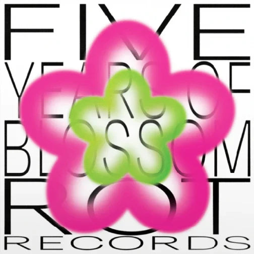Five Years Of Blossom Rot Records