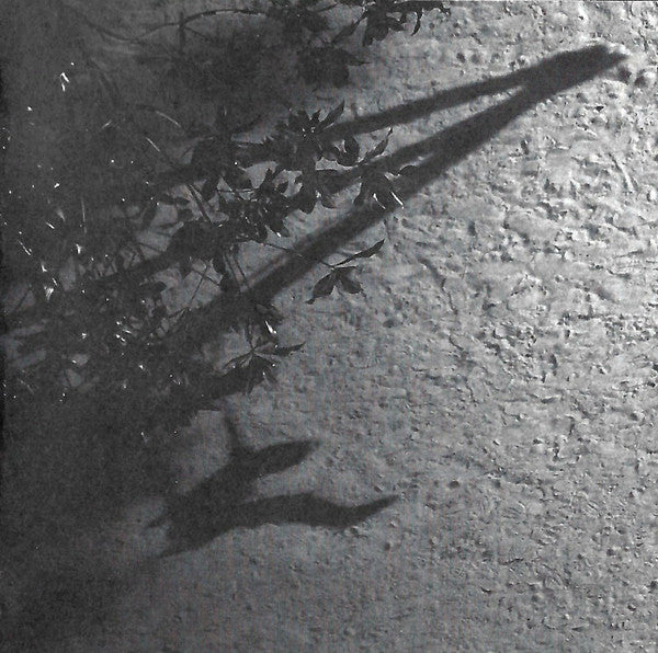 USED CD - Max Richter – The Blue Notebooks