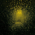 USED CD - The Antlers – Burst Apart