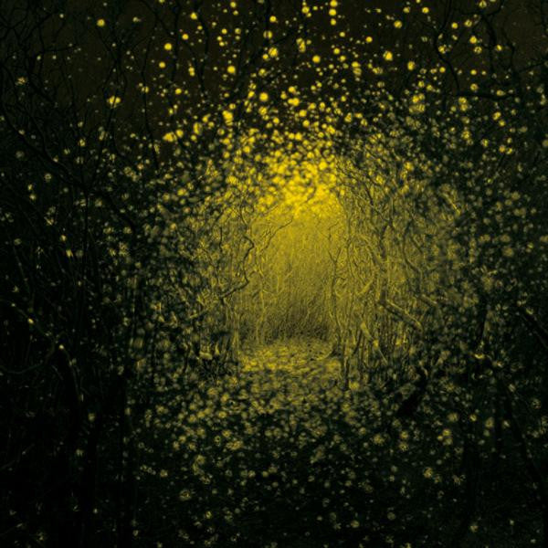 USED CD - The Antlers – Burst Apart