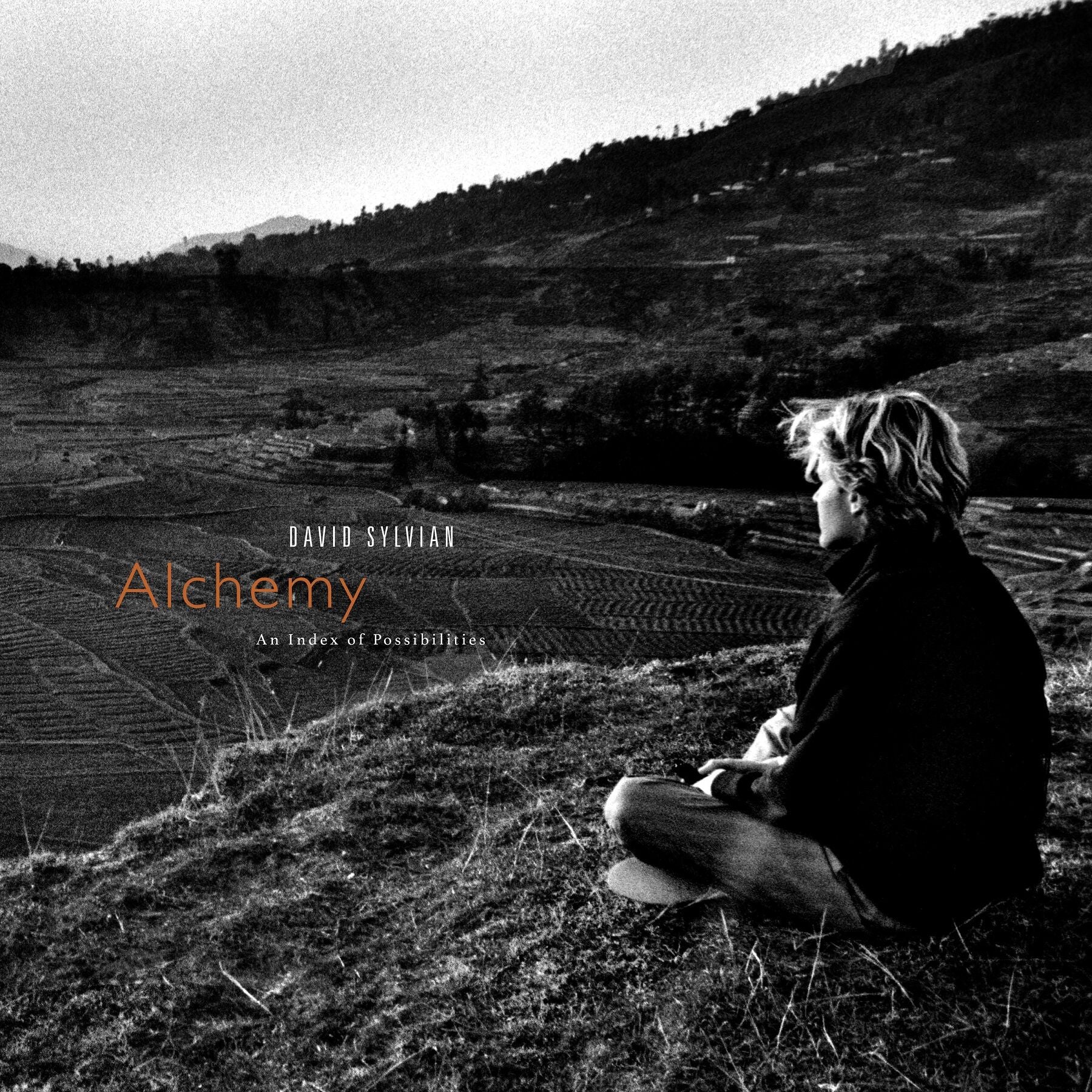 LP - David Sylvian -Alchemy: An Index Of Possibilities (2025)