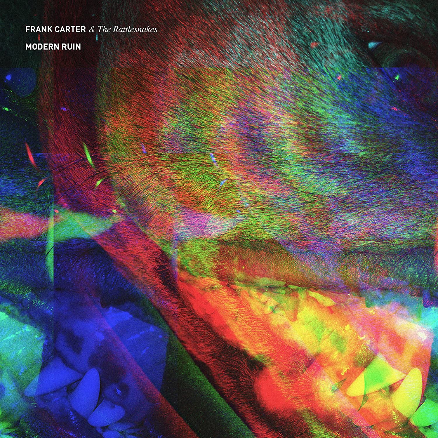 Frank Carter & The Rattlesnakes – Modern Ruin - USED CD