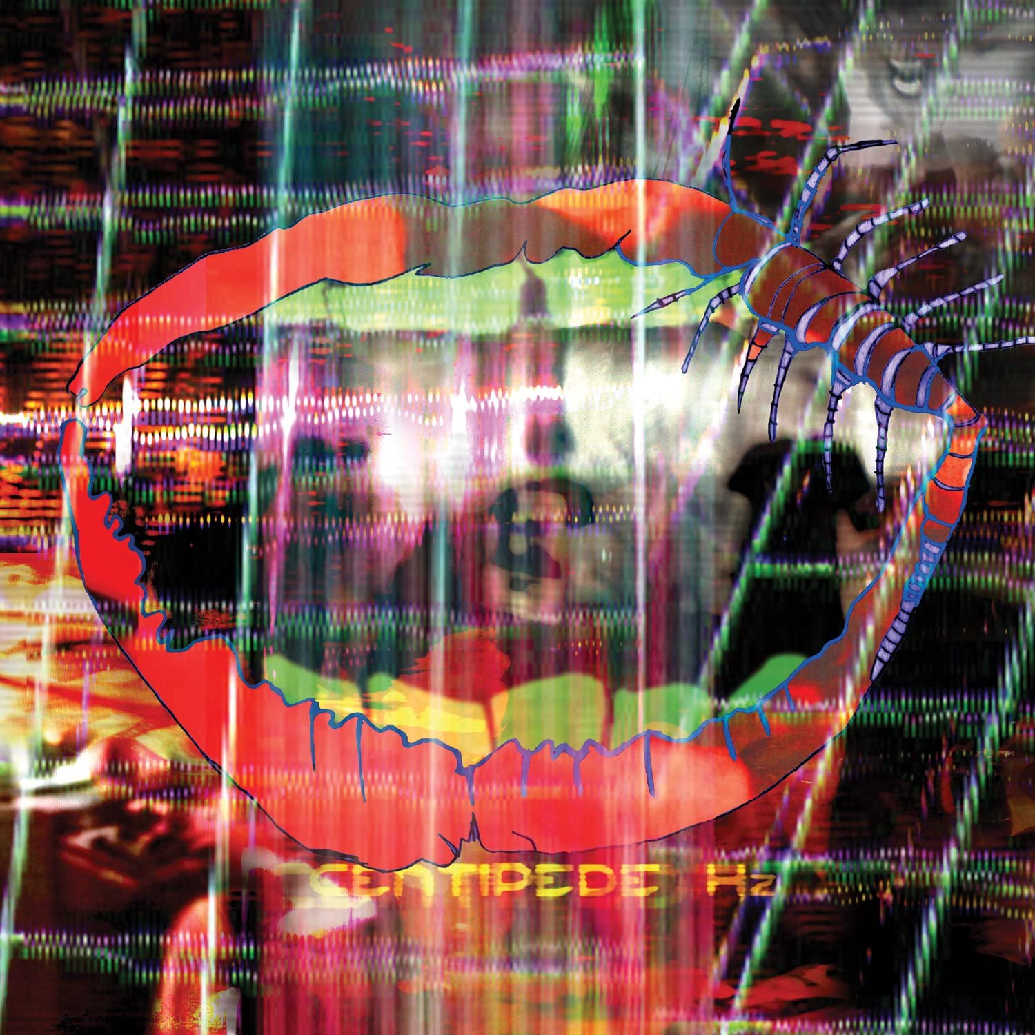 Animal Collective – Centipede Hz - USED CD