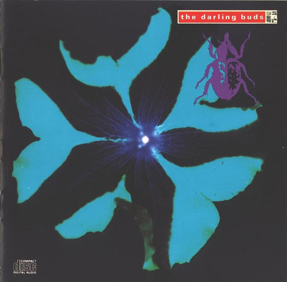 USED CD - The Darling Buds – Crawdaddy
