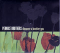 USED CD - Pernice Brothers – Discover A Lovelier You