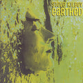 USED CD - Steve Kilbey – Earthed